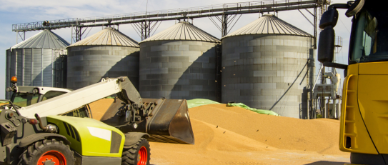 Infocus - Commodity prices and inflation in developed and emerging economies